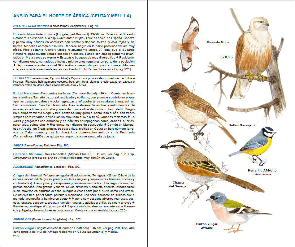 Sample page of Aves de España Aves de España sample page